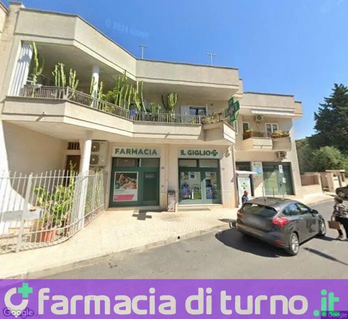 Farmacia Il Giglio snc