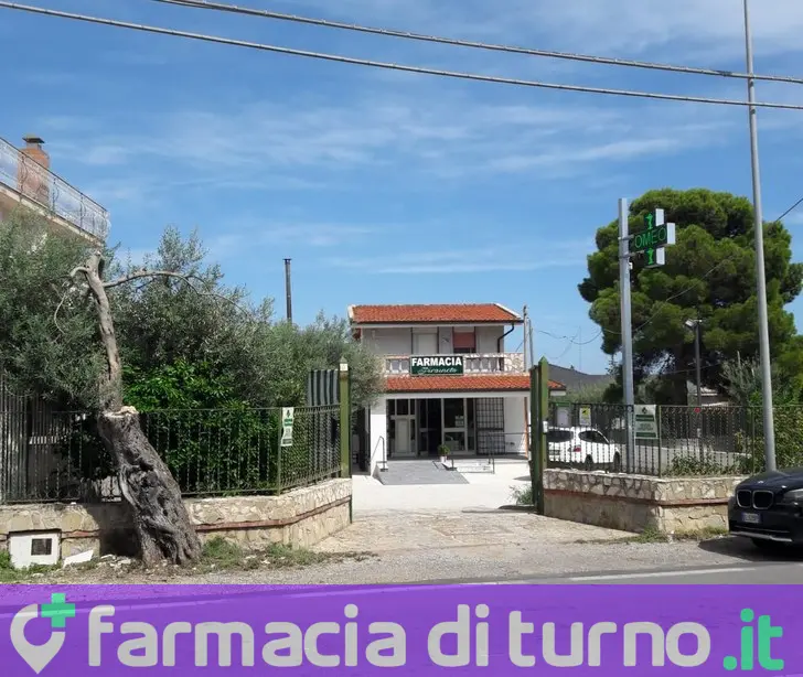 Farmacia Piraineto