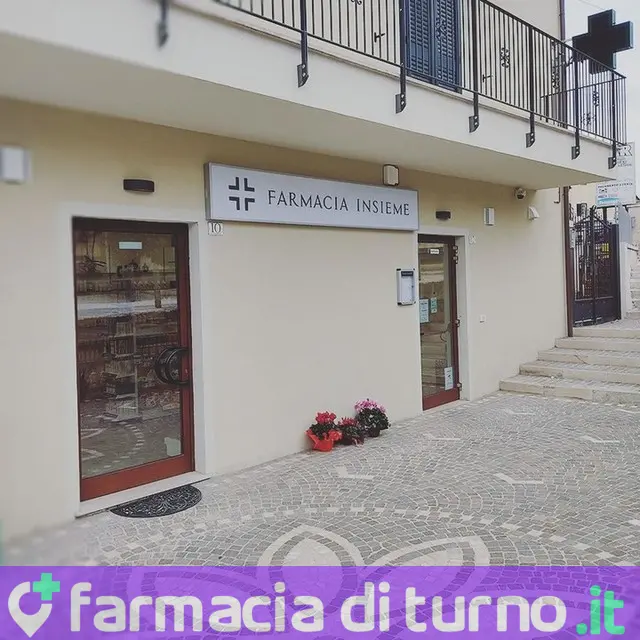 Farmacia Insieme snc di Ciocca Ilaria e Rossi Lorella