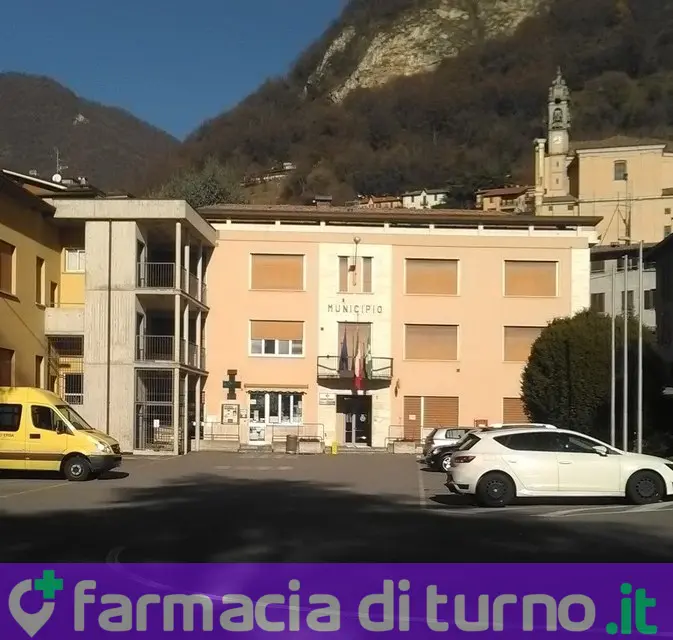 Farmacia Dott.Sa Consonni Maria S.