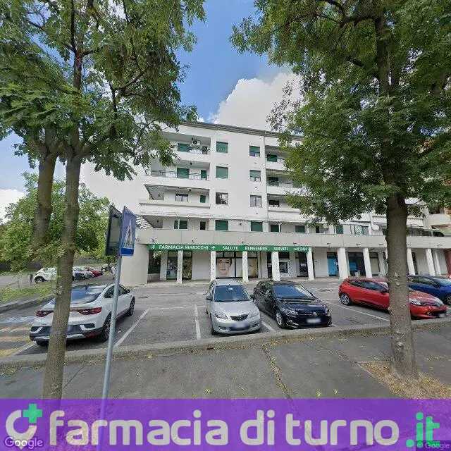 Farmacia Maiocchi Dott.ssa Maria Elena & C. S.a.s.