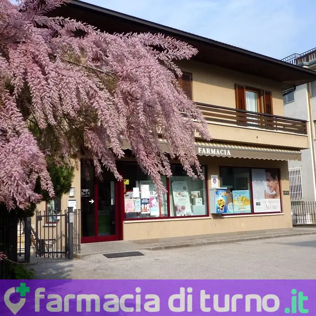 Farmacia all'Angelo snc di Marcello Tonfolini & C.