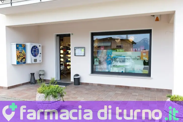 Farmacia Smerieri snc