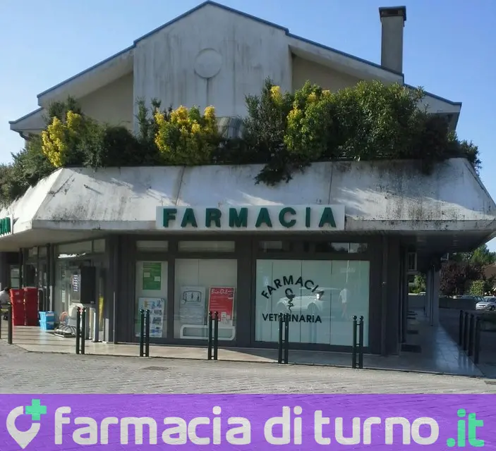 Farmacia Dodi s.a.s.