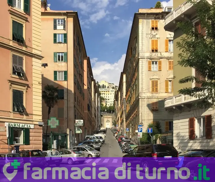Farmacia Saltarelli