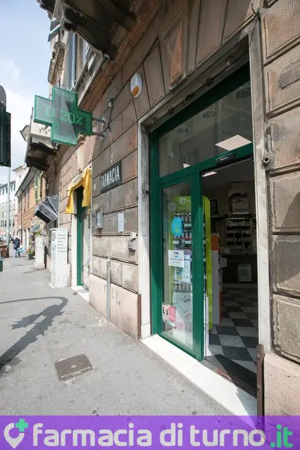 San Carlo Snc