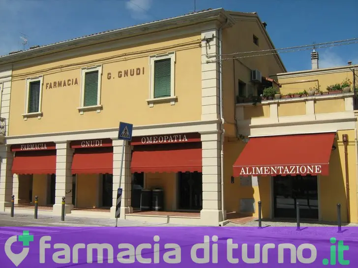 Farmacia Gnudi srl