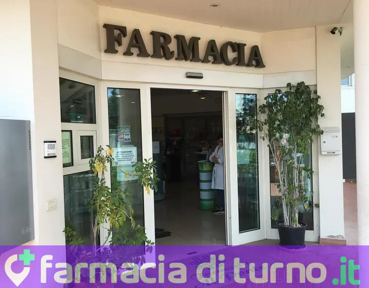 Farmacia Al Ponte Dott.M.Cecchi SNC