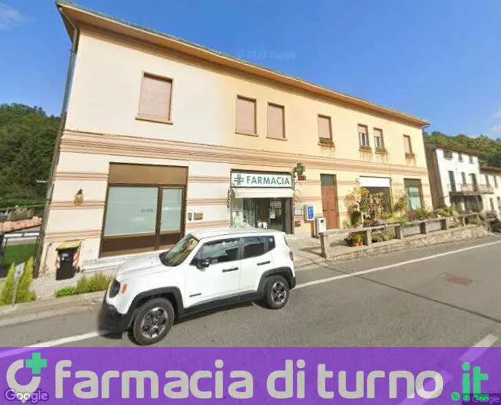 Farmacia Di Campo Tizzoro Sas