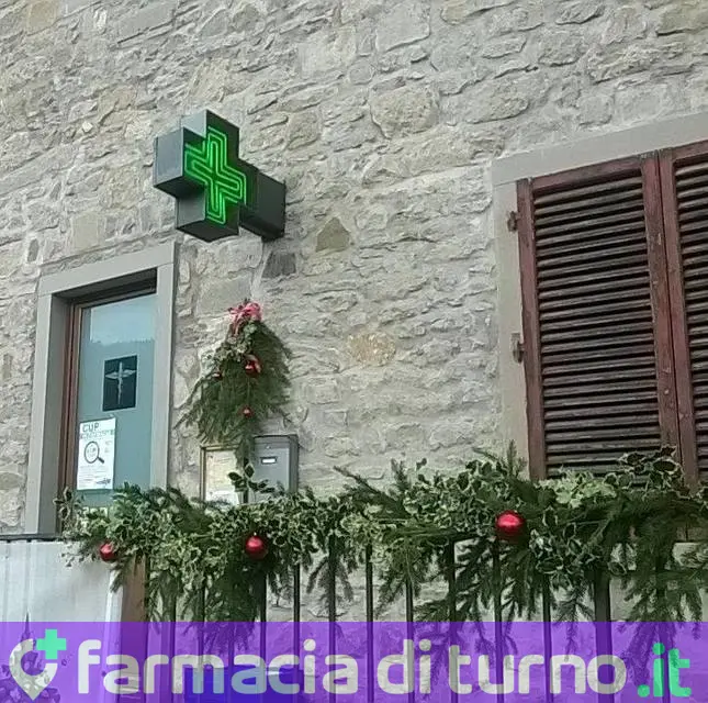 Farmacia di Montemignaio Dott. Santini Pierluigi