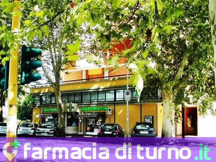 Farmacia Mellini Sas