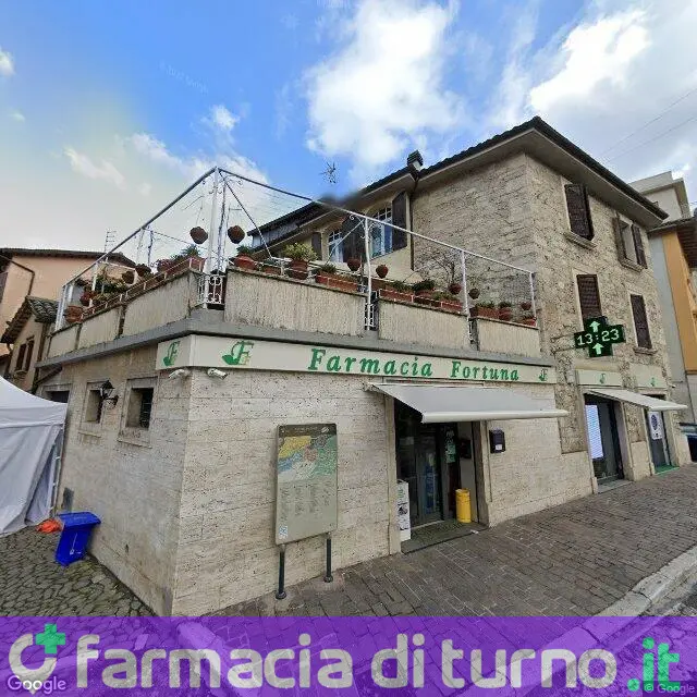 Farmacia Fortuna