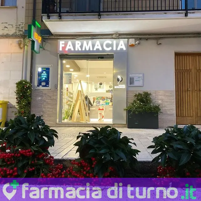 Berchicci Dr. Luigi