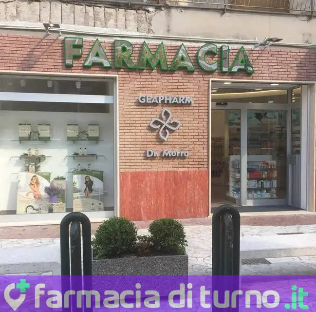 Ferrara Dr. Francesca