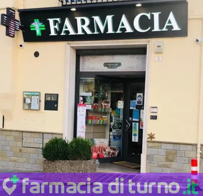 Girasole Dr. Rocco