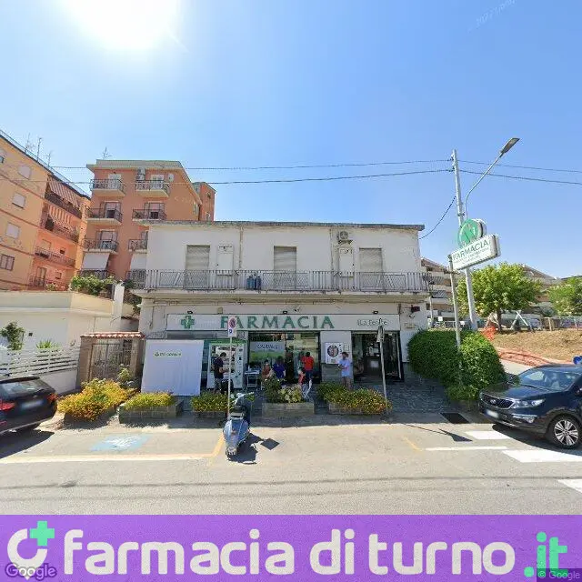 Farmacia La Fenice di Calvieri Dr.Maria