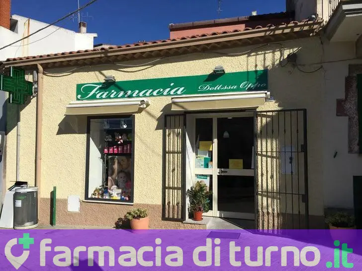 Schiaffino Dr. Paola