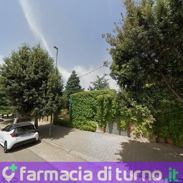 Farmacia Piras Pietro Nc Sas