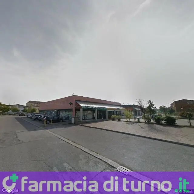 Farmacia Nuova S.r.l.