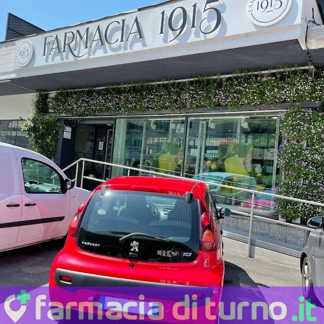 Farmacia 1915 snc