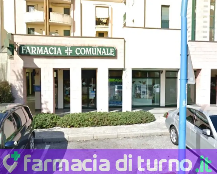 Farmacia Comunale 05 Violino