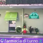farmacia comunale casalnuovo dott G. Cicchelli