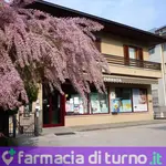 Farmacia all'Angelo snc di Marcello Tonfolini & C.
