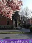 Farmacia alla Madonna