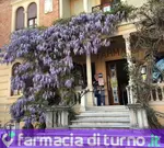 Farmacia Panciroli