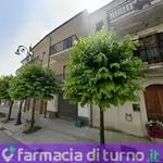 Pace Domenico