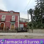Saviano Maria Lora