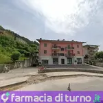 Farmacia Fiori Dispensario