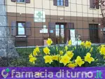 Farmacia comunale Trinità